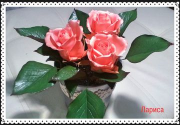 Интерьерная композиция