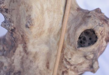 Заколка шпилька деревянная