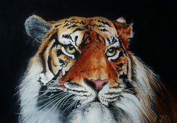 Картина "Шерхан"