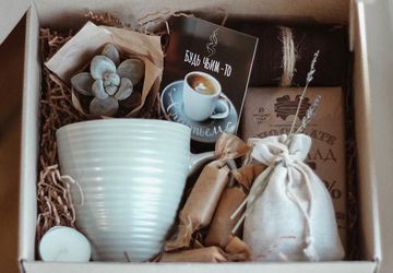 набор с суккулентом