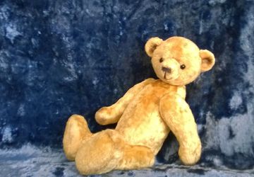 Миша Солнышкин