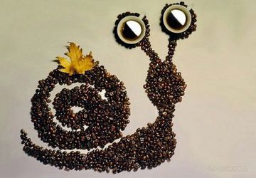Картины из кофейных зерен