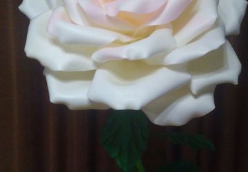 Интерьерная  роза