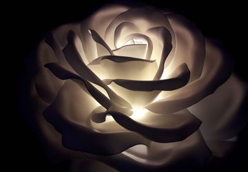 РОСКОШЬ БОЛЬШИХ ЦВЕТОВ,ДЕКОР