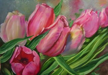 Тюльпаны