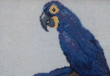 Неразлучники