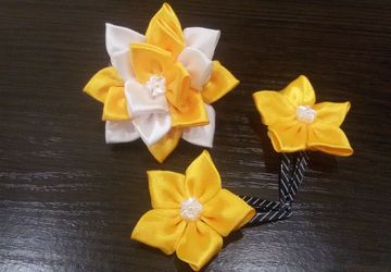 Солнечные заколки и резинка