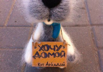 Питерский кот Аркадий "Хочу домой"