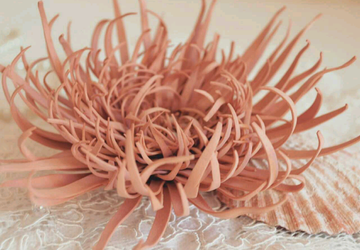 Креативная хризантема. Брошь