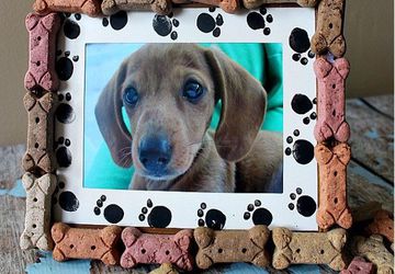 Рамка для фотографии для домашних животных.