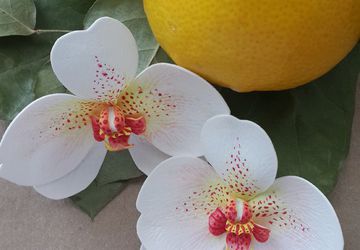 Украшения для волос из цветов ручной работы