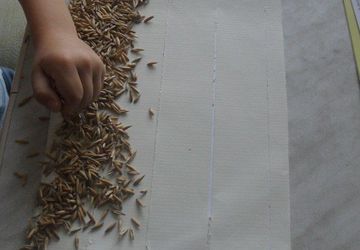 Drawing like Van Gogh using the corn :)