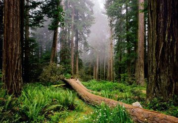 Больше, чем просто фотография