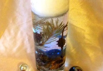 Сказочная тайга