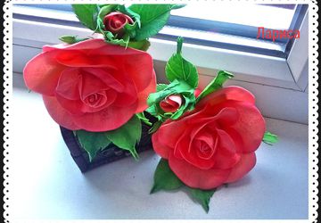 Резиночки Розы