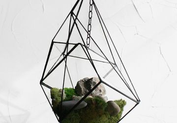 ФЛОРАРИУМ LARRY ON THE GALLOWS