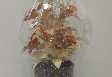 Цветы из дерева.