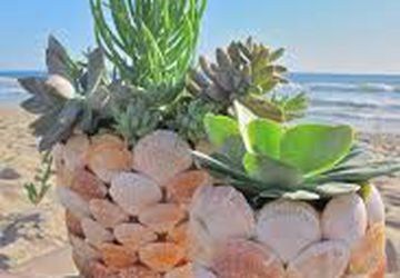 Горшки для растений своими руками.