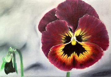 Цветок"Анютины глазки"