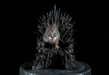 Железный Трон. Миниарт. Настольная миниатюра ручной работы