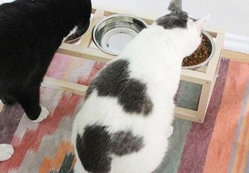 Подставка для кормления домашних животных своими руками.