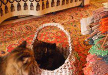 Карзинка - универсал