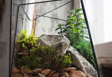 ФЛОРАРИУМ STONE HILL GREEN