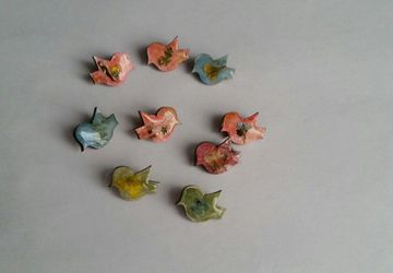 Брошки-птички