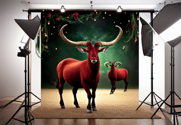 How to make a gift for Capricorn