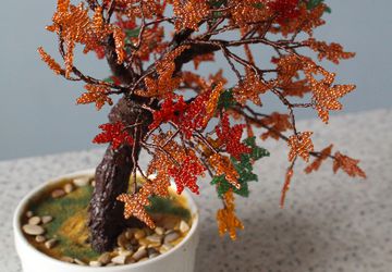 Осенний клен