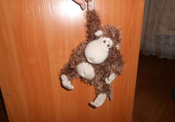 Биби зян Шоколадик