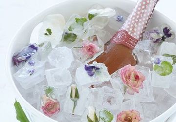 Цветочные кубики льда