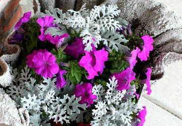 Необычные дачные вазы из цемента и полотенец