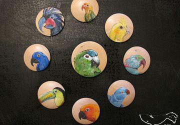 Попугаи и Тукан