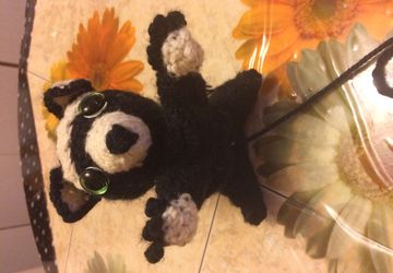 Чёрный енот