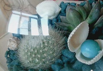 "На дне морском..."