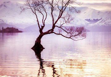 Мини курс по акварели в АРТ-ЛОФТ