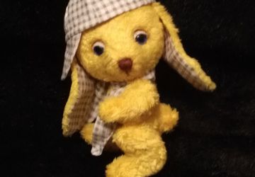 Солнечный зайчик