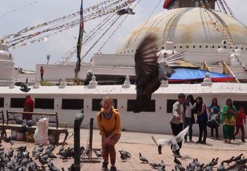 Тренинг "Раненая Птица"