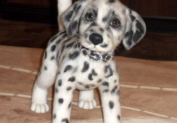 Фелтинг. Как свалять щенка далматинца