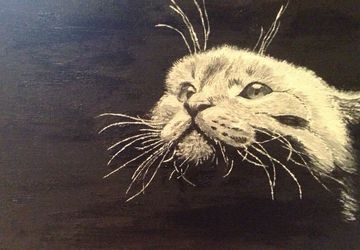 Картина "Взгляд кота"