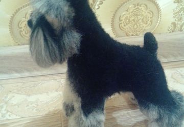 Ризеншнауцер