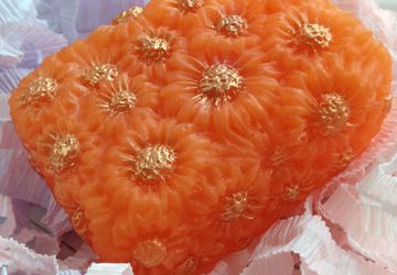 "Ромашковое поле"