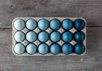 Подставки для яиц на Пасху: 8 идей