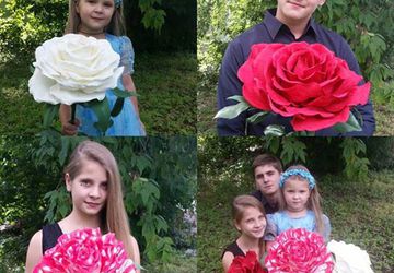 Огромная роза