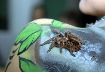 Фестиваль креативных художников "ArtEast"