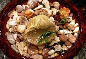 Увлажнитель воздуха для дома. Делаем сами