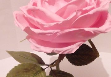 Интерьерная роза