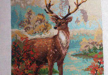 Олень у ручья