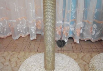 Когдеточки